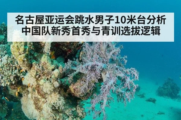 名古屋亚运会跳水男子10米台分析 中国队新秀首秀与青训选拔逻辑